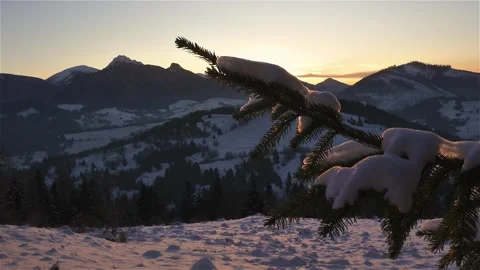 Last light of sunset in winter mountains nature with spruce branch in foreground Stock Footage 261605125