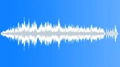 Last man standing Stock Music