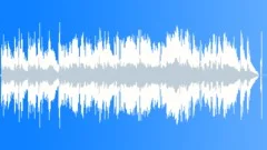 The Last Ones - Melodic Western Guitar - Main Edit (Sentimental,Sorrow,Cowboy) Stock Music