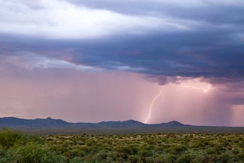 The Last Stock Photos