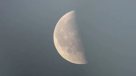 Last Quarter Moon In Daylight Stock Footage 206122075