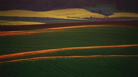 The last rays of sunlight paint warm stripes across the green rolling hills.. Stock Photos