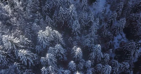 Last rays of sunlight in the valley of the Alps on a beautiful winter day Stock Footage 118971254