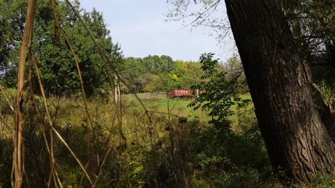 Last red wagon of old freight train with goods dissapear between trees Stock Footage 151118293