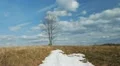 The last snow HD Footage