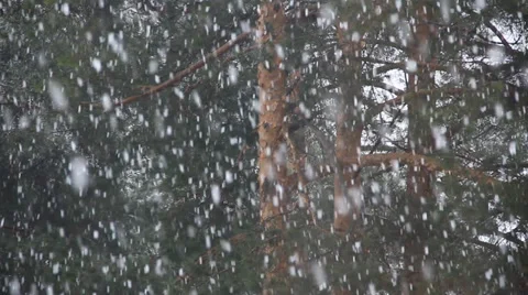 Last snow. Video stock 37192530