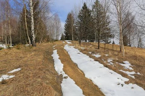 Last snow on pathway Stock Photos
