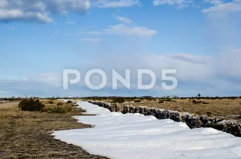 The last snow Stock Photos