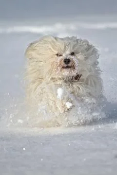 At last snow Stock Photos