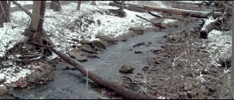 Last Snowfall Before Spring in Lorimer Park Stock Footage 172347601