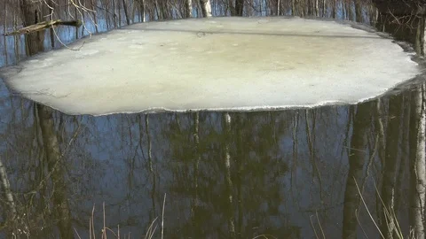 Last spring ice and water flood on small pond Stock Footage 103469113