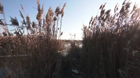 Last spring ice.The end of winter, the beginning of spring. Stock Footage 145382569