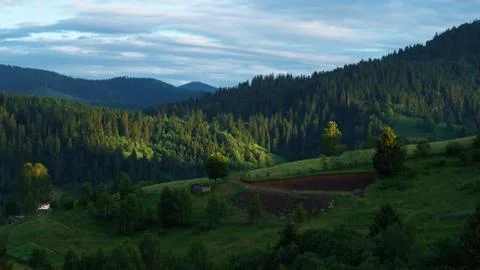 Last sun light on trees at Sunset on Carpathian mountains forests Foto stock