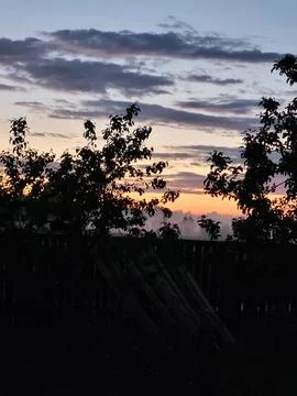 Last sun rays in the evening sky through garden branches, sunset view 스톡 사진
