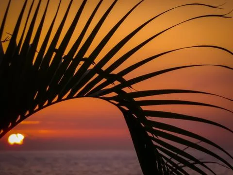 Last sunrays Stock Photos