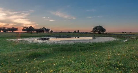 Last sunset in field Stock Photos