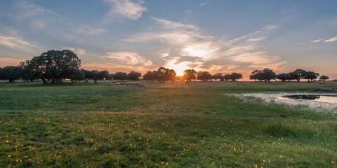 Last sunset in field Stock Photos