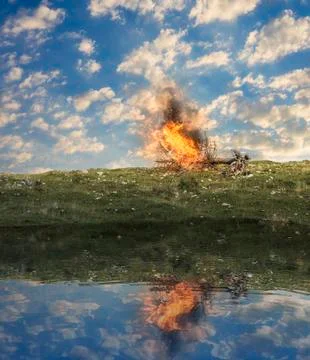 Last tree on fire Stock Photos