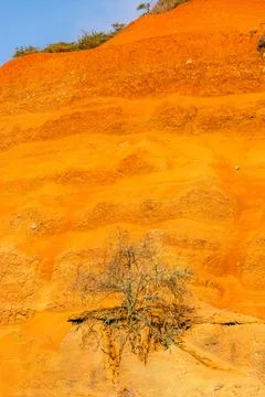 The Last Tree At The Orange Cliff Stock Photos