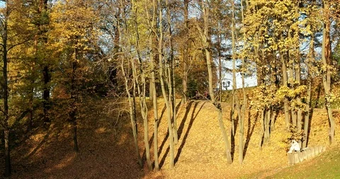 Last warm days Stock Footage 96683789