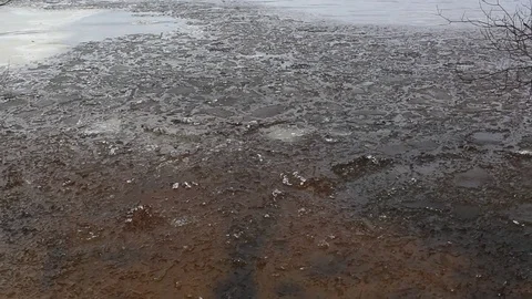 The last will be in the spring Stock Footage 71172553