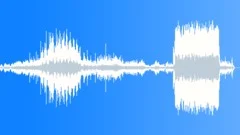 The Last WordStock Music