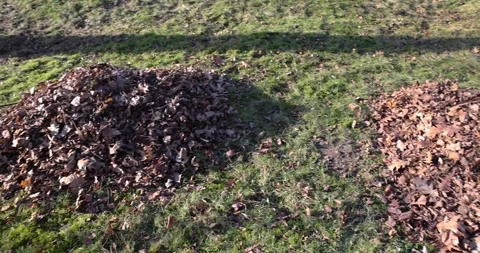 Last year's foliage collected in heaps after cleaning in the park Stock Footage 268437438