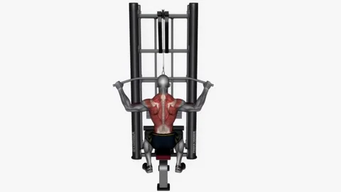Lat pull down wide grip  fitness exercise workout animation male muscle highligh Vidéo 243984060