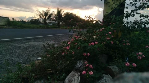 LATE AFTERNOON Stock Footage 256565319