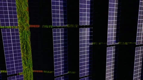 Late afternoon light on solar panel array, Bulgaria Video stock 340408049
