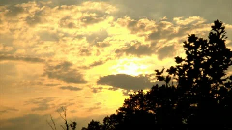 Late Afternoon Sky with foreground Tree Silhouettes (1080-24FPS).mp4 Stock Footage 10975693