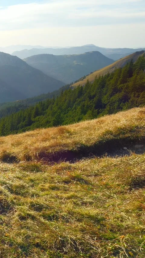 Late Autumn Light on the High Trails of the Tannheimer Alps With Forested Val Stock Footage 308879321
