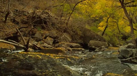 Late Autumn River Stock Footage 8962067