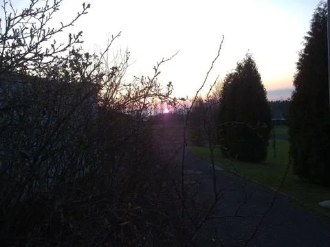 Late-autumn-sunset Foto stock