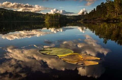Late in the day clouds are reflected on the smooth surface of a freshwater lake Stock Photos