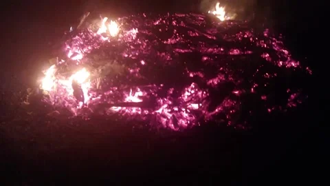 Late evening campfire Video stock 157245213