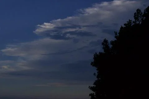 Late Evening Cloudy Sky with Trees (4) Stock Photos