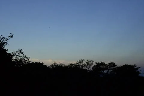 Late Evening Cloudy Sky with Trees (2) Stock Photos