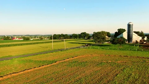 Late evening following a typical Amish horse drawn buggy past a classical Video stock 113282974