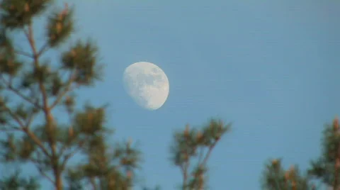 Late evening moon Video stock 308045