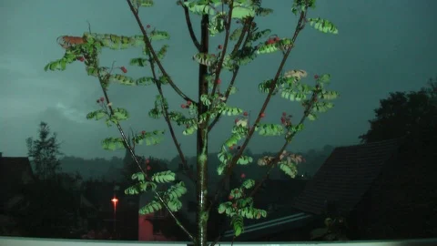 Late evening. Rain. Lightning. Vídeo Stock 95704198