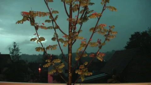 Late evening. Rain. Lightning. Vídeo Stock 95704211