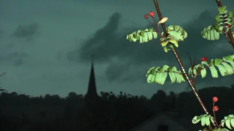 Late evening. Rain. Lightning. Vídeo Stock 95704294