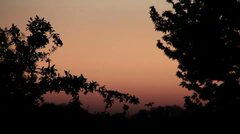 Late Evening Scene Stock Footage 4961860