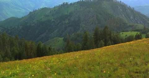 Late evening storm dissipating over a carpet of wildflowers in Hells Canyon Stock Footage 68023053