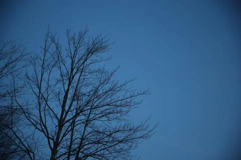 Late Fall Evening Stock Photos