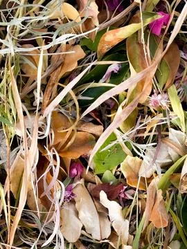 LATE FALL LEAVES Stock Photos