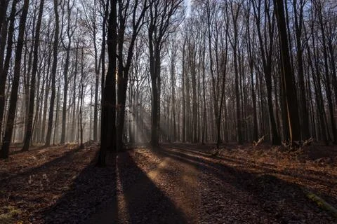 Late Fall Foto stock