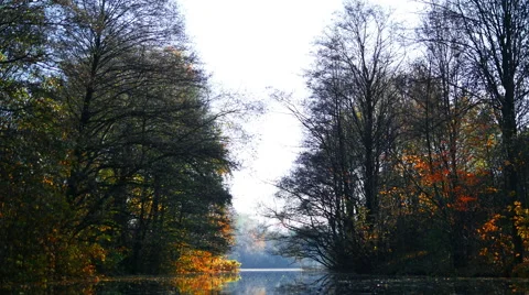 Late fall. Pond in the park. Vidéo 56620514