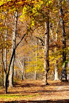 Late Fall by the River Stock Photos
